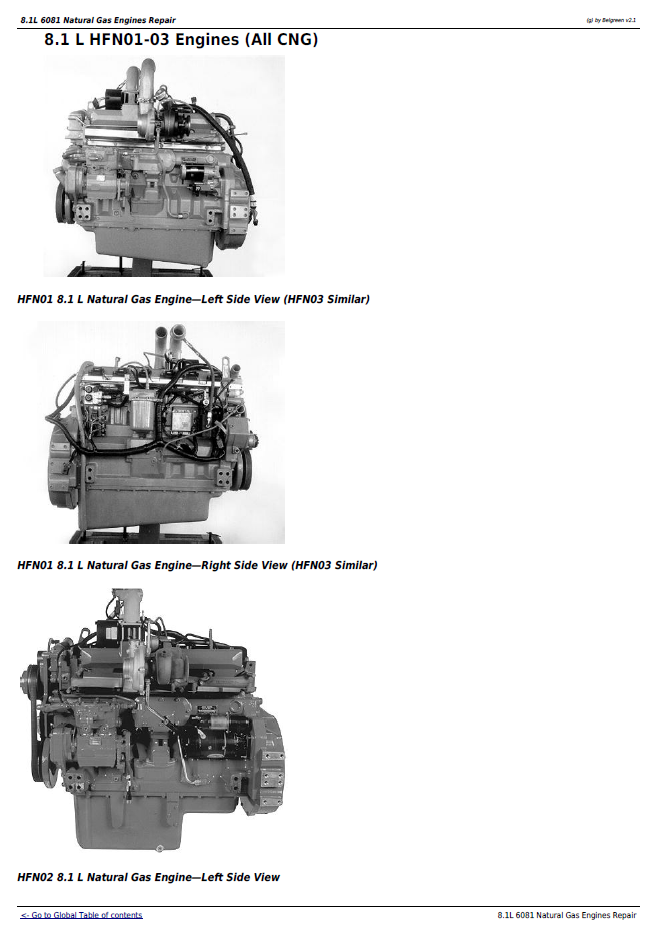John Deere 8.1L 6081 Natural Gas Engine Parts & Repair CTM87 Manual