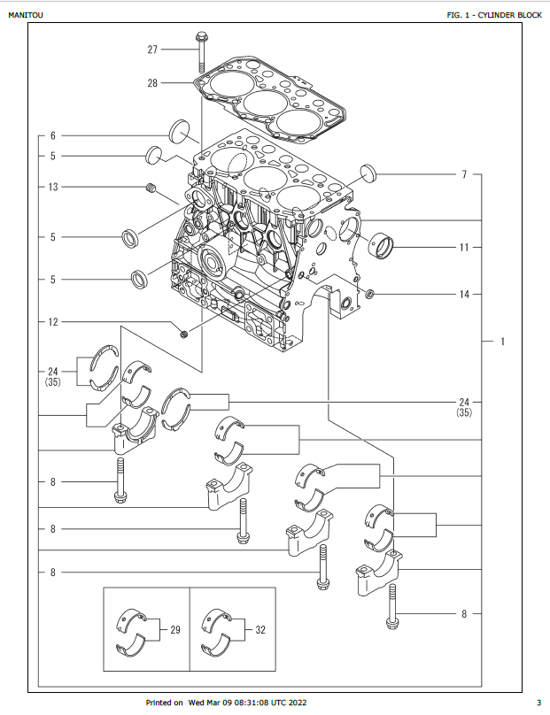 MUSTANG 3TNV74F-SPBV Engine Parts List & Catalog Manual 50940298 PDF