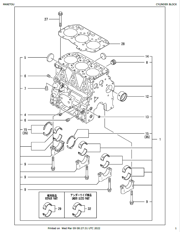 MUSTANG 3TNV82A-BPMS Parts Catalog Manual 917382 – Complete PDF Guide