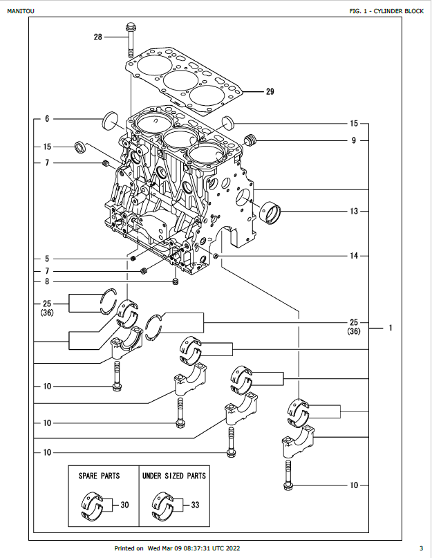 MUSTANG 3TNV88F-ESBV 50940138 Engine Parts List & Repair Manual PDF