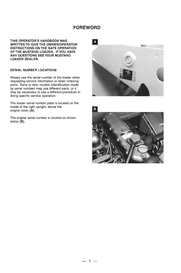 Mustang 900 Loader 000-13956 Manual – Complete Operator Instructions PDF