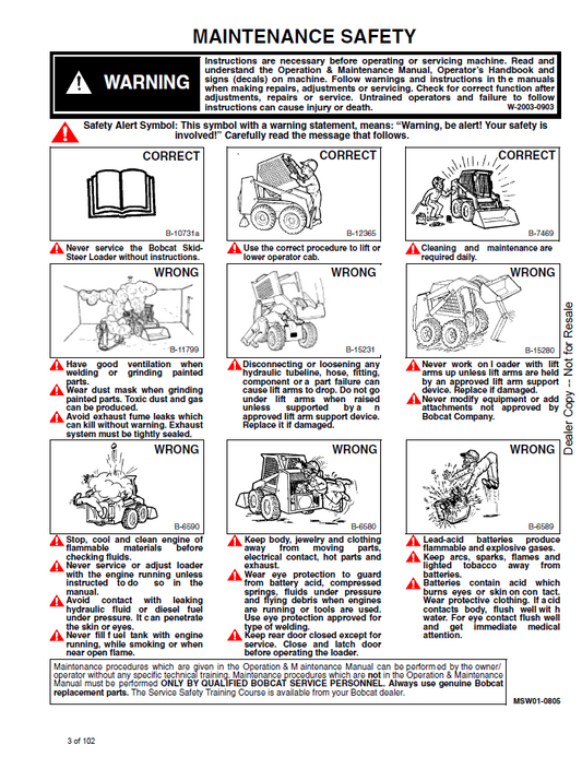 Official 6556520 Bobcat Vintage Loader Service Supplement PDF